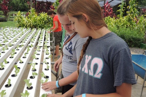 Spanish & Sustainability Practices in Costa Rica